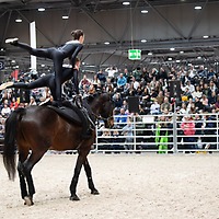 PARTNER PFERD 2025 PARTNER PFERD 2025