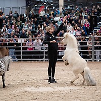 PARTNER PFERD 2025 PARTNER PFERD 2025