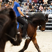 PARTNER PFERD 2025 PARTNER PFERD 2025