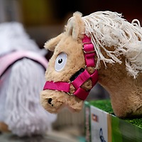 PARTNER PFERD 2025 PARTNER PFERD 2025