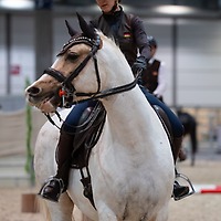 PARTNER PFERD 2025 PARTNER PFERD 2025