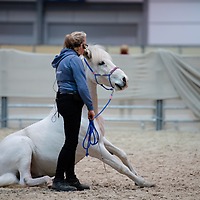 PARTNER PFERD 2025 PARTNER PFERD 2025