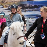 PARTNER PFERD 2025 PARTNER PFERD 2025