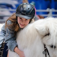 PARTNER PFERD 2025 PARTNER PFERD 2025