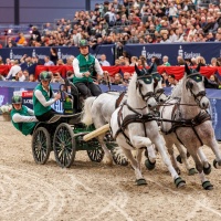 CHARDON Bram (NED), 372 Conversano Mara Xlvi-2, Favory Farao, Favory Xxxvii-15, Siglavy Capriola Szemafor 