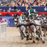 CHARDON Bram (NED), 372 Conversano Mara Xlvi-2, Favory Farao, Favory Xxxvii-15, Siglavy Capriola Szemafor 