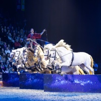 Der italienische Pferdeartist Diego Giona ist berühmt dafür, bis zu 10 Pferde gleichzeitig zu führen. 