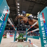 MANSUR Yuri (BRA), Vitiki 