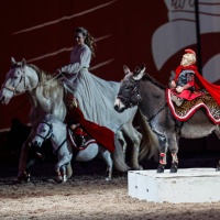 Mélie Philippot bringt eine kleine Truppe von berittenen römischen Soldaten und viel Humor mit zur PARTNER PFERD 2026.