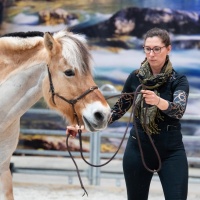 Vertrauen zwischen Reiter und Pferd stehen auf dem X-Trail der PARTNER PFERD im Mittelpunkt. 
