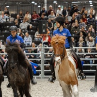 Die Isländer sind los! Am Messe-Freitag der PARTNER PFERD stehen sie mit dem „Isi Friday“ ganz im Rampenlicht. 