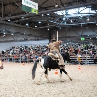 PARTNER PFERD 2025 PARTNER PFERD 2025