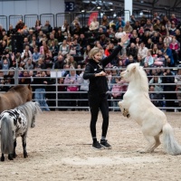 PARTNER PFERD 2025 PARTNER PFERD 2025