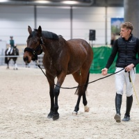 PARTNER PFERD 2025 PARTNER PFERD 2025