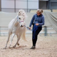 PARTNER PFERD 2025 PARTNER PFERD 2025