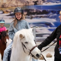 PARTNER PFERD 2025 PARTNER PFERD 2025