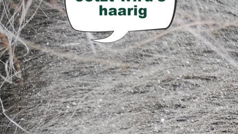 Schon gewusst? ... Zum Haare raufen und aus der Haut fahren – Facts ...