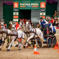 Foto: Stefan Lafrentz