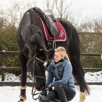 Foto: Dressur- und Voltigierteam Leipzig/Halle