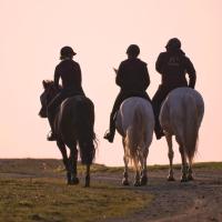 Foto: Centurio e. V. / Ausbildungsstall Henzschel