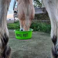 Foto: Unikatwerkstatt Sachen aus Stoff