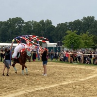 Foto: Deutsche Förderverein für Freiberger Pferde e. V. 