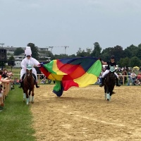 Foto: Deutsche Förderverein für Freiberger Pferde e. V. 