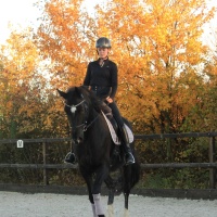 Foto: Dressur- und Voltigierteam Leipzig/Halle