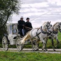 Foto: Centurio e. V. / Ausbildungsstall Henzschel
