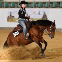 EWU: Erste Westernreiterunion Landesverband Sachsen e. V.