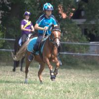 Mounted Games Team Wolfshain 