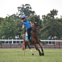 Mounted Games Team Wolfshain 