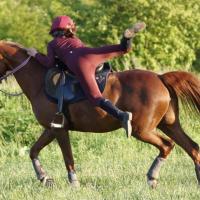 Mounted Games Team Wolfshain 