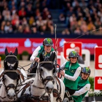 CHARDON Bram (NED), Dreef Inca, Dreef Kapitany, Favory Fantom, Favory Farao, Kendi