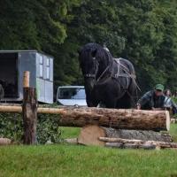 Holzrücken Holzrücken