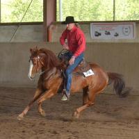 Horse & Western Life Reitverein Gleisberg e.V. Horse & Western Life Reitverein Gleisberg e.V.