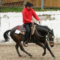 Horse & Western Life Reitverein Gleisberg e.V. Horse & Western Life Reitverein Gleisberg e.V.