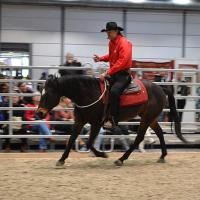 Horse & Western Life Reitverein Gleisberg e.V. Horse & Western Life Reitverein Gleisberg e.V.