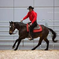 Horse & Western Life Reitverein Gleisberg e.V. Horse & Western Life Reitverein Gleisberg e.V.